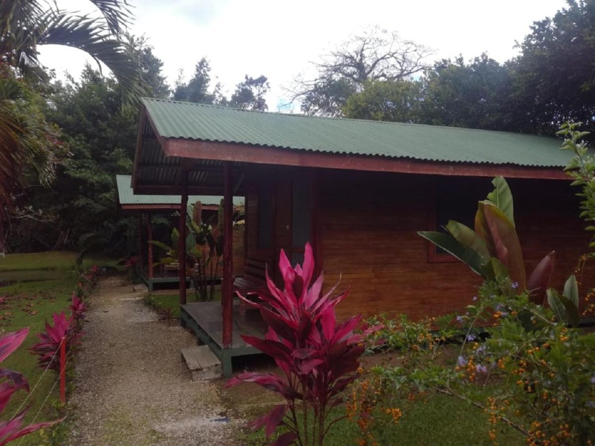 Rincon Verde Bijagua de Upala Exterior foto