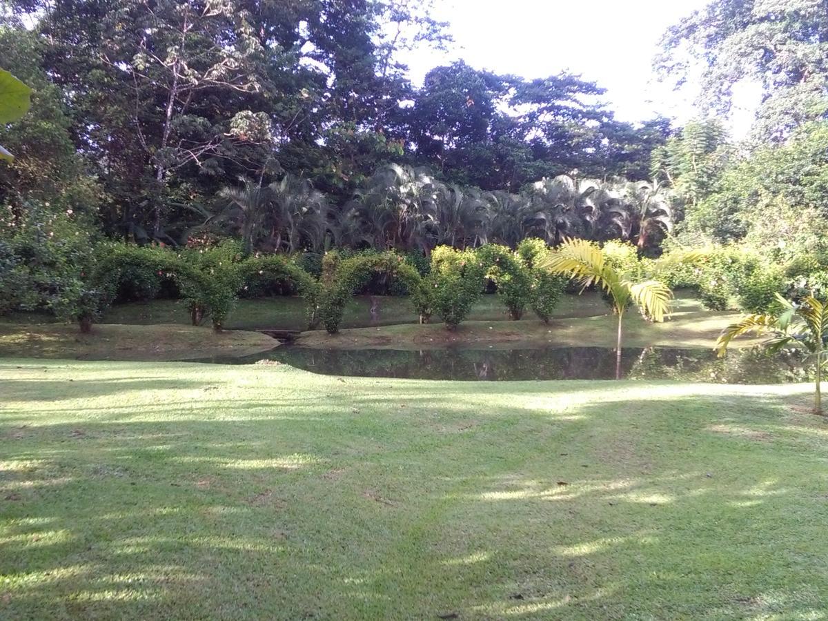 Rincon Verde Bijagua de Upala Exterior foto