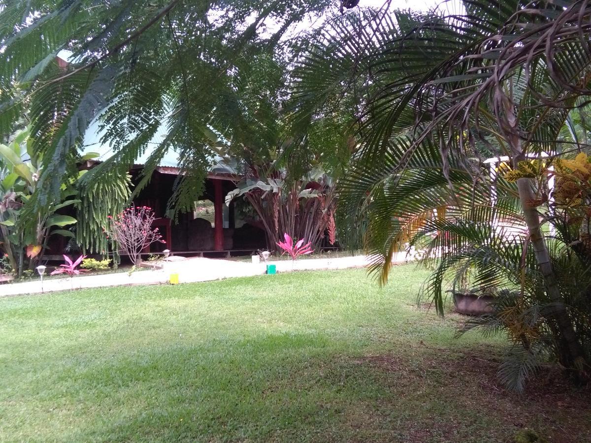 Rincon Verde Bijagua de Upala Exterior foto