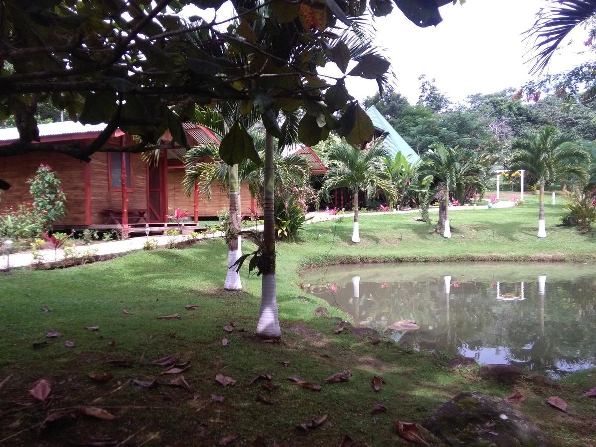Rincon Verde Bijagua de Upala Exterior foto